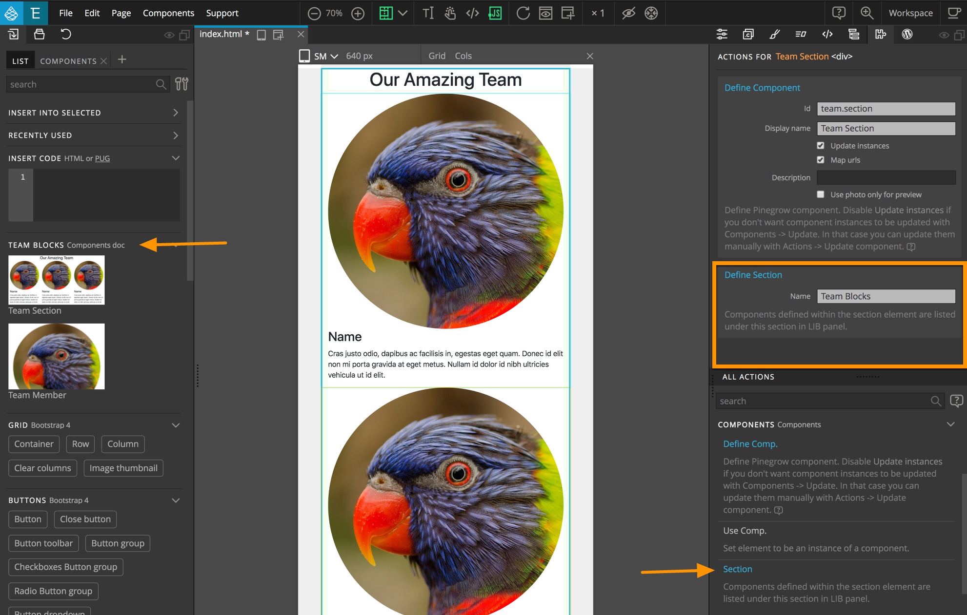 Library panel sections are defined in the Pinegrow Actions panel