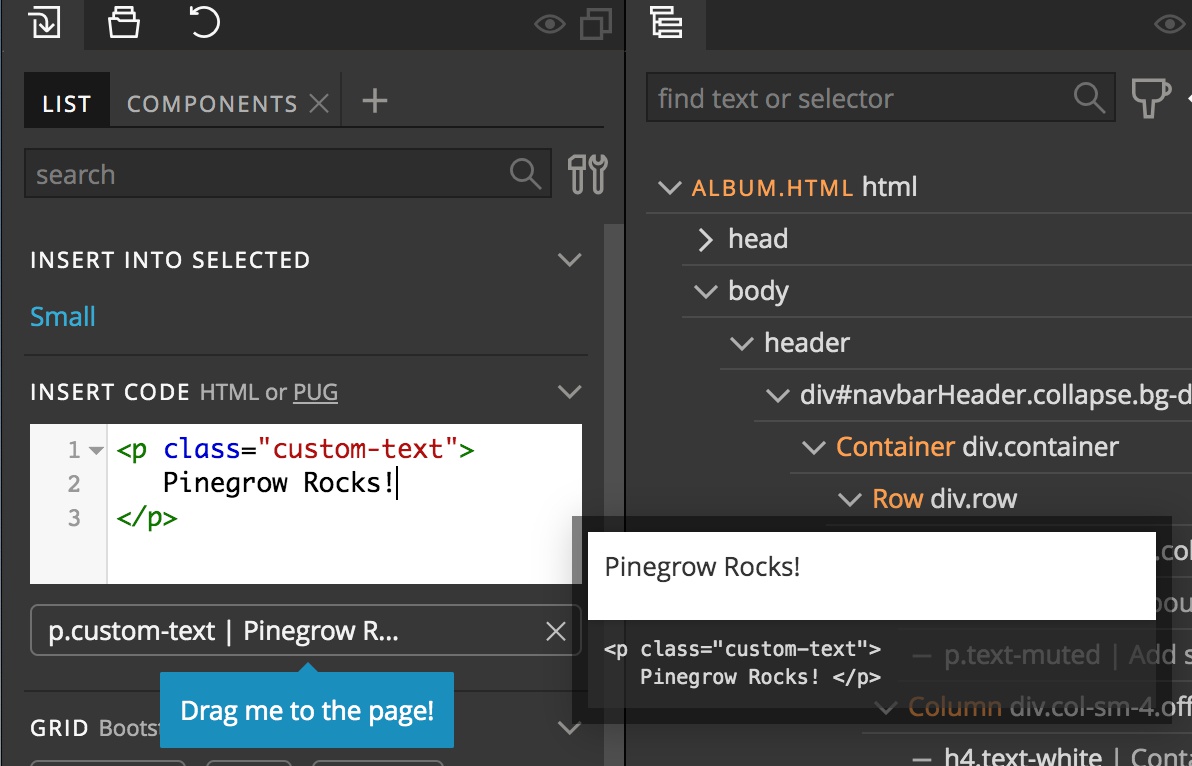 Screenshot of custom code box in the Library panel of Pinegrow.